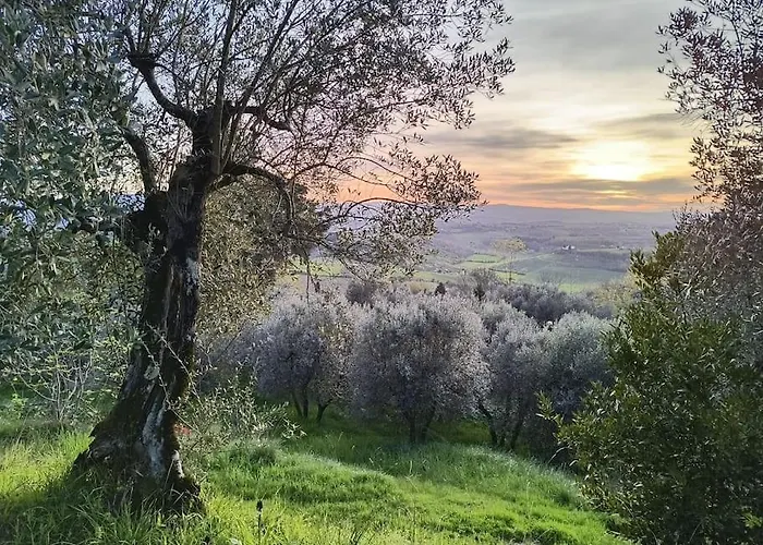 Il Cestino Di Ciliegie