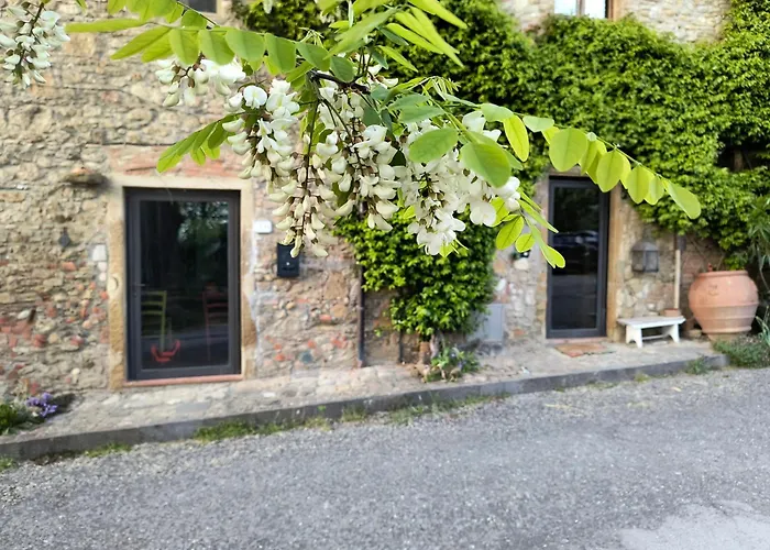 Il Cestino Di Ciliegie